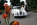 Hochzeitsauto Oldtimer BMW "Barockengel"